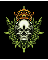 Streetwear Rusti – Pack de vectores urbanos